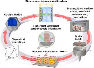 Electrocatalysis underlies hydrogen production, fuel cells, and carbon-neutral chemical synthesis, which enables next-generation clean-energy systems rely on fast and selective redox reactions at solid–liquid interfaces, yet their mechanisms have remained difficult to resolve