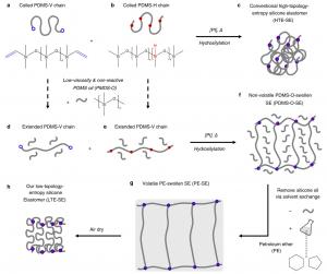 An engineering team at Jiangxi Normal University, in collaboration with South China University of Technology, reports an entropy-driven strategy to construct low-topology-entropy silicone elastomers (LTE-SEs) in the journal Wearable Electronics