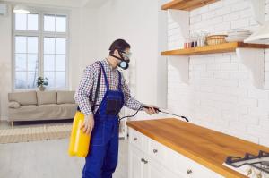 professional roaches removal services