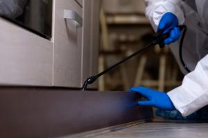 roaches removal services