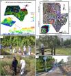 Integrating light and structure: smarter mapping for fragile wetland ecosystems