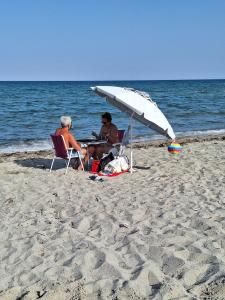 Warum verlässliche Reiseplanung heute mehr wert ist als der vermeintliche Schnäppchenurlaub 11 Paar genießt romantisches Frühstück direkt am Meer: Insider-Tipp, wohin zu jeder Reisezeit Lebenslust an authentischen Regionen getankt werden kann