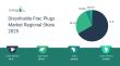 Dissolvable Frac Plugs Market In 2029