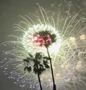 Fireworks going off near palm trees