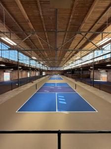 Pickle Alley - Courts View