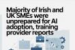Majority of Irish and UK SMEs Were Unprepared for AI Adoption, Training Provider Reports