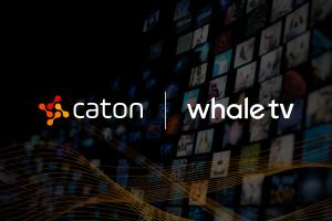 Caton + Whale TV
