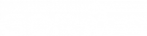 Gorilla Technology Group
