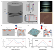 Switchable-selectivity gas sensing enabled by a functionalized-graphene microrod resonator