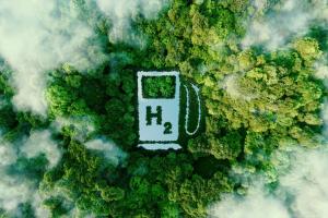 World Future Energy Summit Green Hydrogen