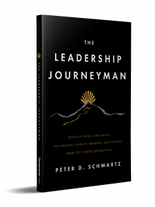 Peter Schwartz 3D book cover
