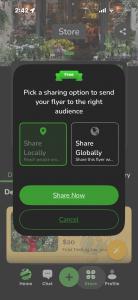 Screenshot of Secret World’s flyer sharing feature allowing businesses to distribute promotions locally or globally at no cost.
