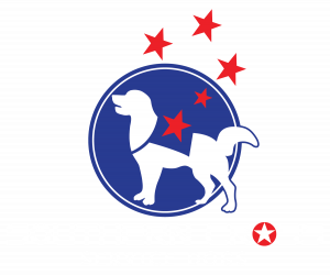 Southern Service Dog