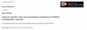 Isoform-specific roles and overlooked complexity of AMPKα in Alzheimer’s disease