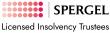 Spergel Named National Finalist for Consumer Insolvency Initiative of the Year