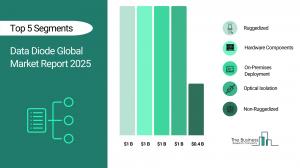 Data Diode Global Market Report 2026