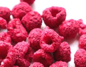 freeze dried raspberries Wholesale