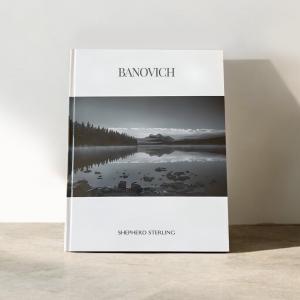 Banovich Book Cover 2