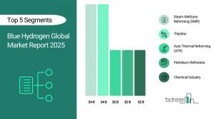 "Blue Hydrogen Market to Surpass $34 billion in 2029 Blue Hydrogen Global Market Report 2026