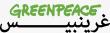 Greenpeace MENA to Contribute to Key Energy, Land-Use, and Finance Discussions at World Future Energy Summit 2026