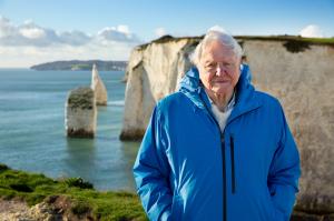 Ocean David Attenborough baitball Doug Anderson ©Silverback Films and Open Planet Studios 2023