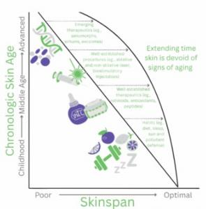 Graph showing how Skinspan delays visible signs of aging