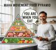 The 'When' Paradigm: MYTSV.COM Unveils the Critical Missing Link in the MAHA Food Pyramid