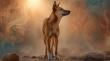 DANGEROUSLY CURIOUS - NEW MUSIC SHEDS LIGHT ON THE PLIGHT OF THE AUSTRALIAN DINGO