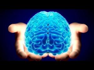 The Brain Open For Discussion