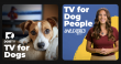 DOGTV Launches Free, Ad-Supported Content on Two Channels
