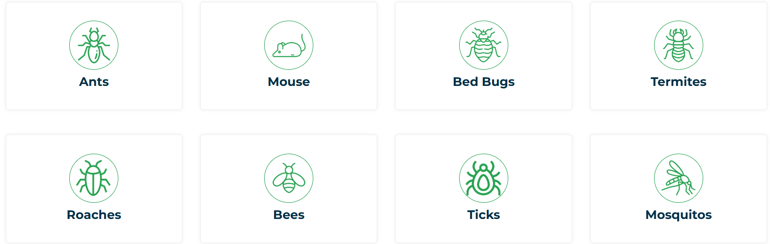 Titan Pest Services Expands its Commercial Pest Control Services for Growing Businesses Across New York