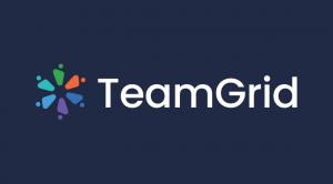 TeamGrid.ai logo representing the AI-powered execution intelligence platform.