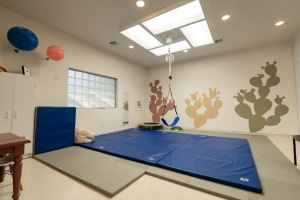 24501880 occupational therapy gym