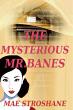 Mae Stroshane Blends Music, Mystery, And Hope In 'The Mysterious Mr. Banes'