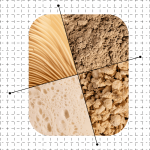 Maia Farms Mushroom Ingredient Portfolio