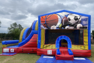 Jumping Castle Hire In Brisbane, QLD - GoWild Castles & Party Hire
