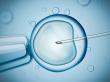 How Liv Hospital is Redefining IVF Success Rates through Advanced Selection Technologies