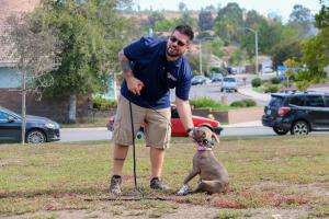 Dog Board Training Murrieta CA