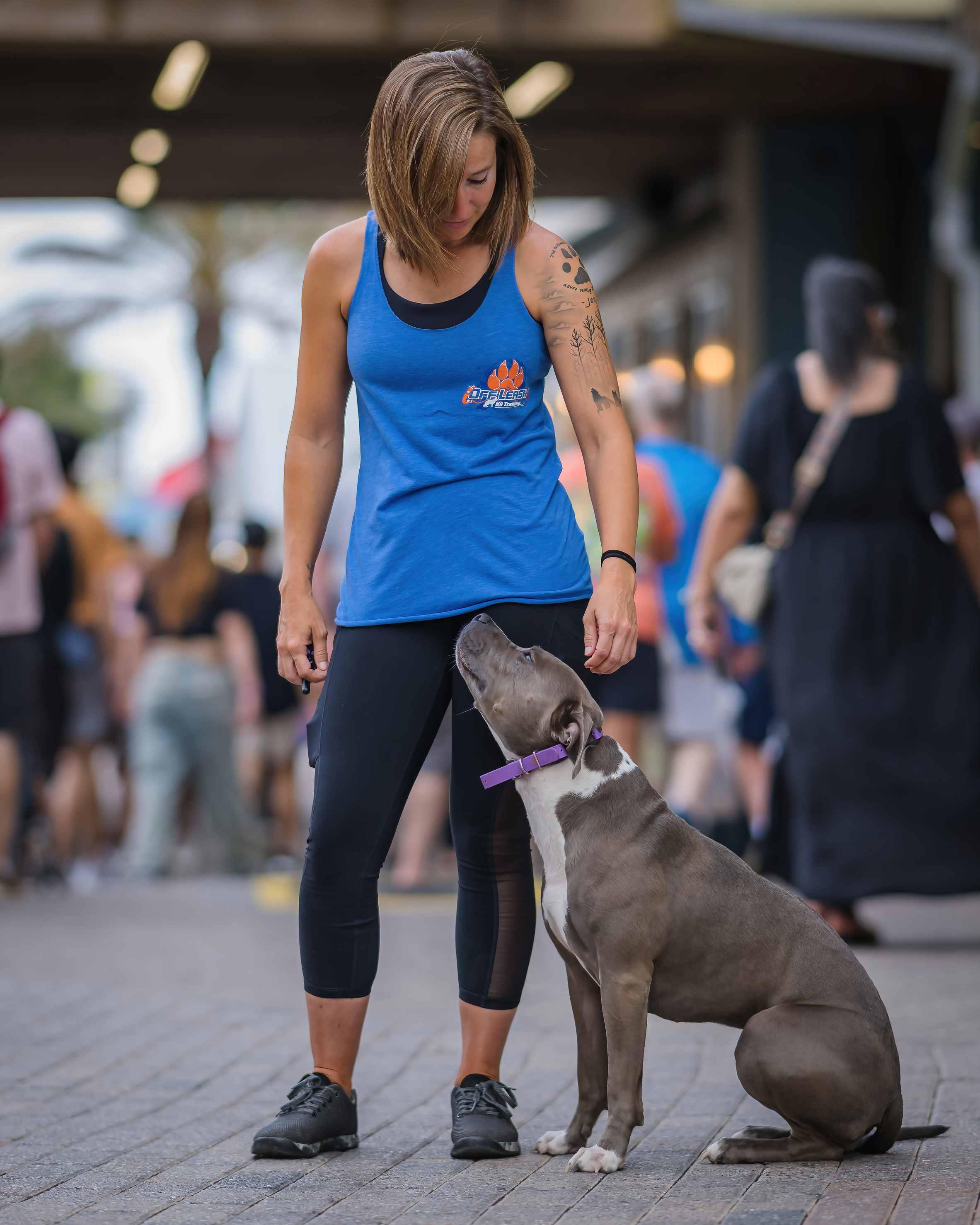 Off Leash K9 Training 30A Highlights Puppy Training Services for Santa Rosa Beach and Scenic 30A