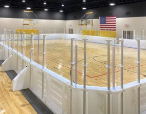 Indoor Portable Hockey Rink