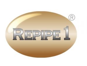 Repipe 1 company logo, featuring the text "REPIPE 1" in a silver, metallic font centered inside a gold-colored oval with a registered trademark symbol.