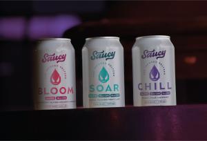 Saucy Seltzers