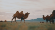 Explorer.Company Launches Fall Self-Drive Tours Timed to Mongolia's Eagle Hunter and Horse Festivals