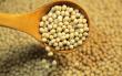 Soybean Derivatives Market to Reach US$390.8 Bn by 2033 Driven by Rising Demand & Innovation