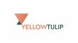 Yellow Tulip Inc launches as new European clean energy platform