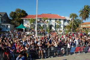Florida State Fence Gasparilla
