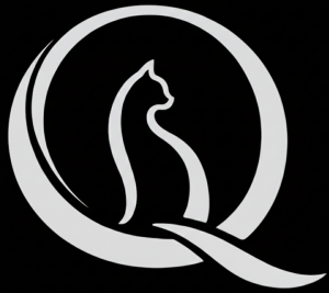 QGI LOGO DARK THEME