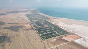 Blue Waters Oyster Farm