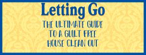 Letting Go Book Cover