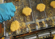 P&P Optica to Debut Automated Chicken Nugget Grading Solution at IPPE 2026